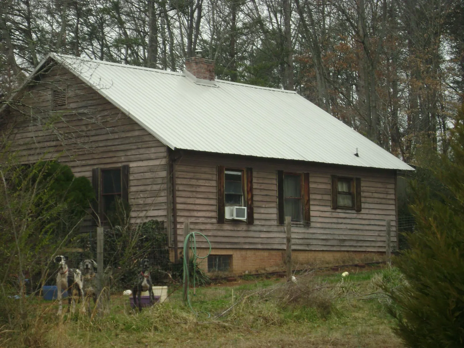 White metal roof on an old wood sided farmhouse, from a Asphalt Shingle Roof Repair job in Oregon City